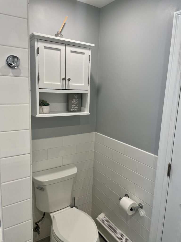 Compact bathroom with gray walls, white cabinet, and toilet.